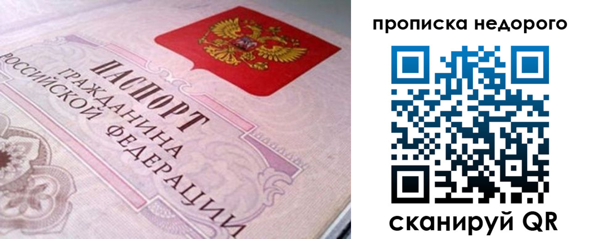 временная регистрация адрес в Мурино